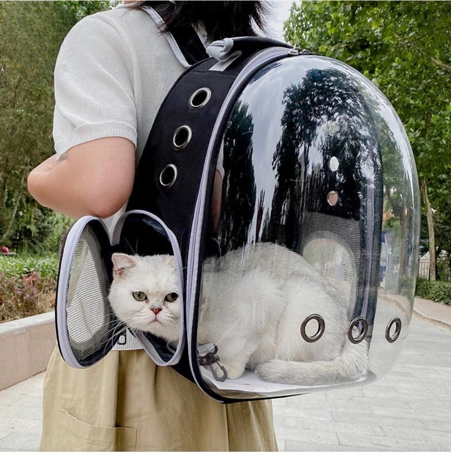 Cat Carrier Borsa Trasportino Gatto Trasportino Gatto Zaino ZAINO